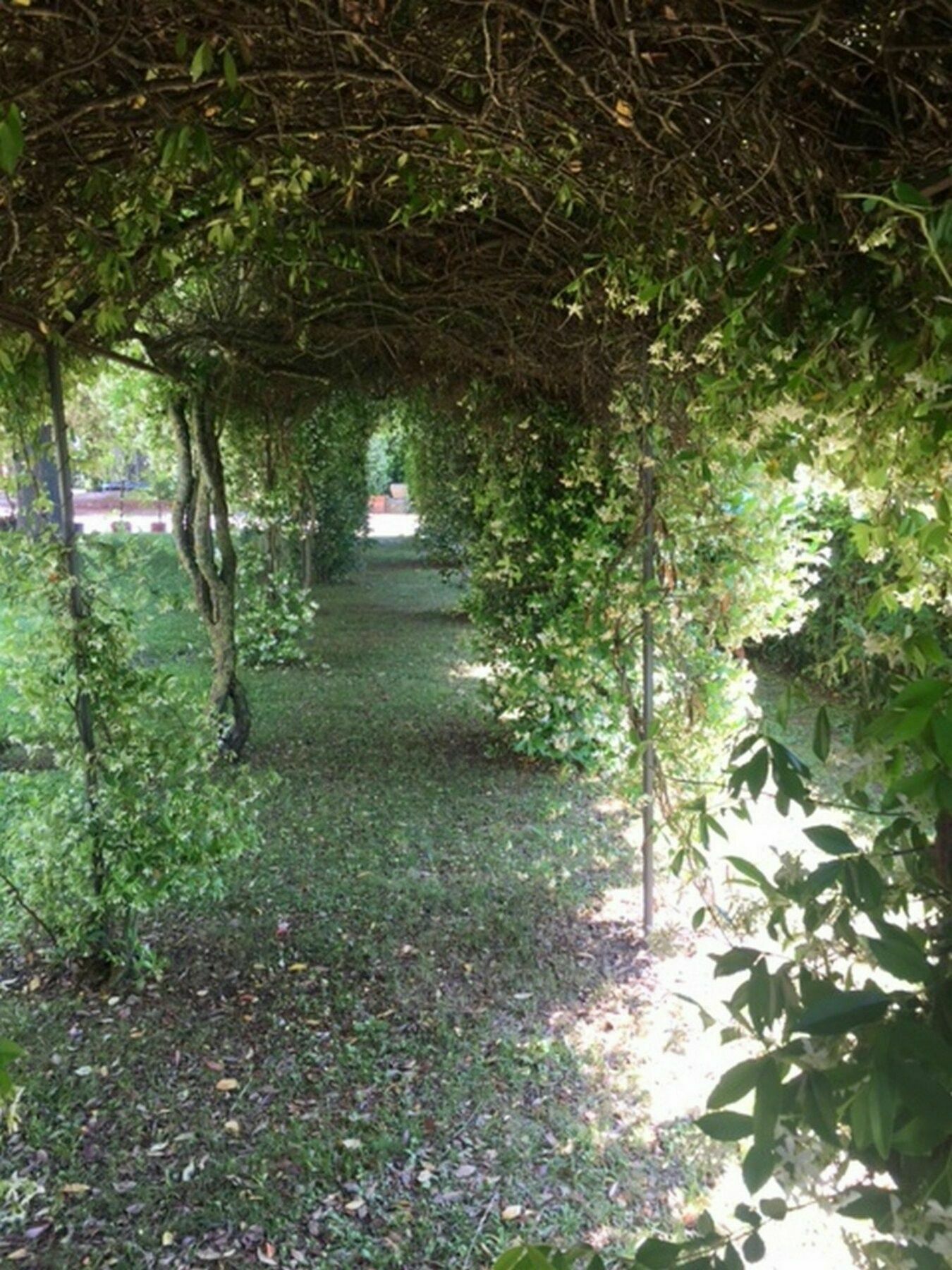 Relais Montemaggiore Bettolle Bagian luar foto